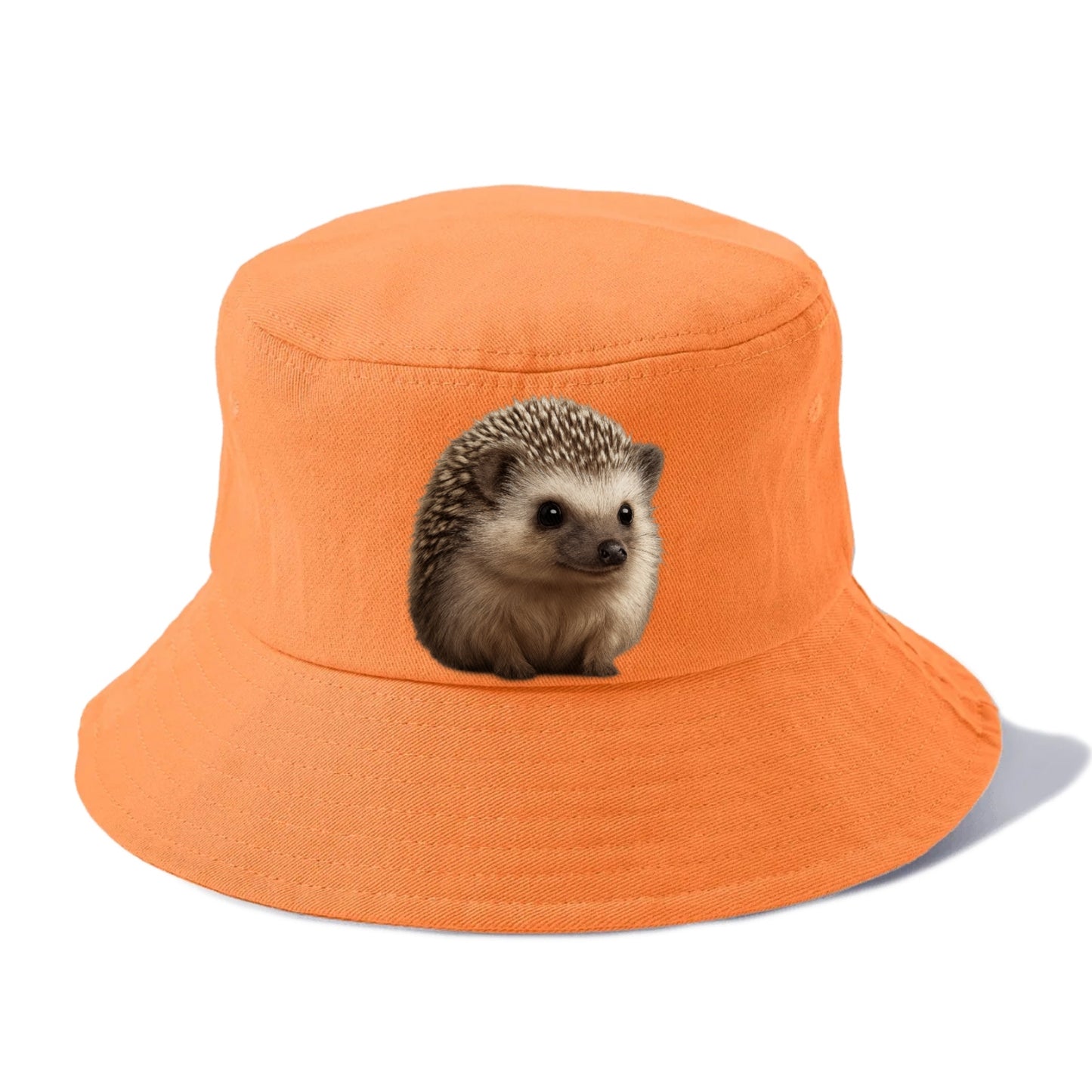 hedgehog portrait design Hat