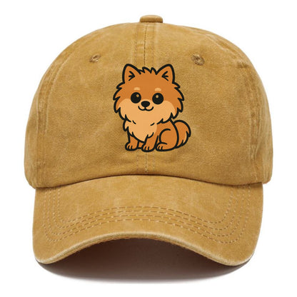 pomeranian orange fluffy sitting pose portrait design Hat