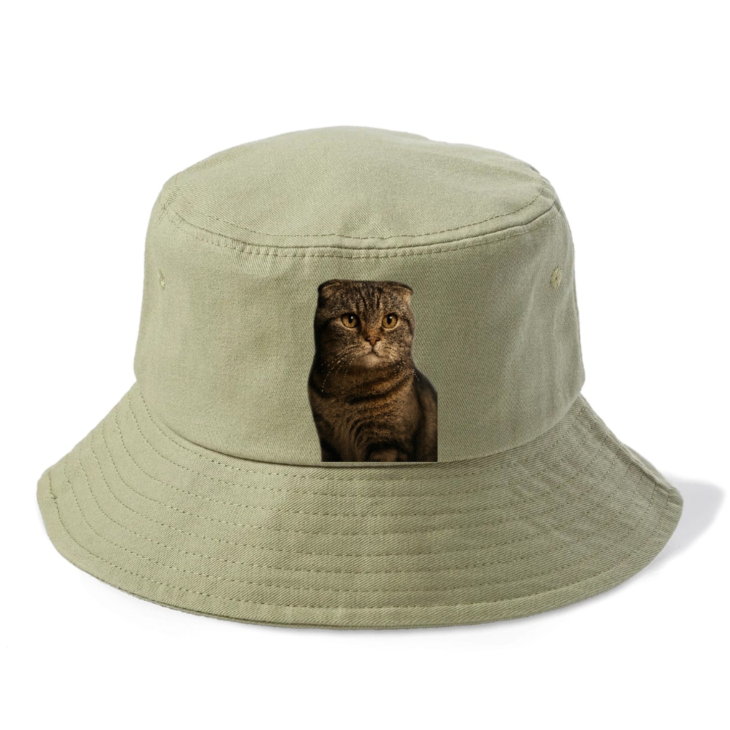 scottish-fold-curious-charm Hat