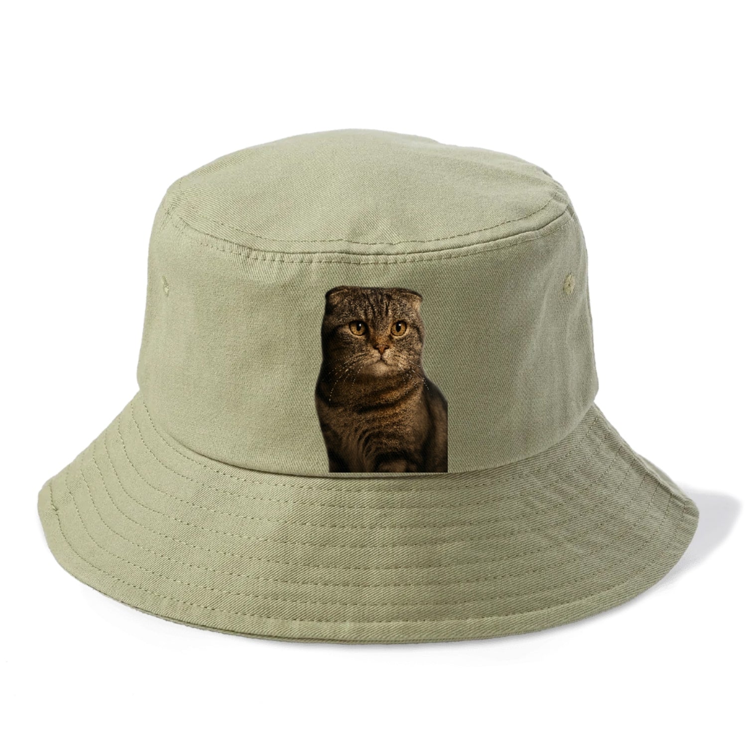 scottish-fold-curious-charm Hat