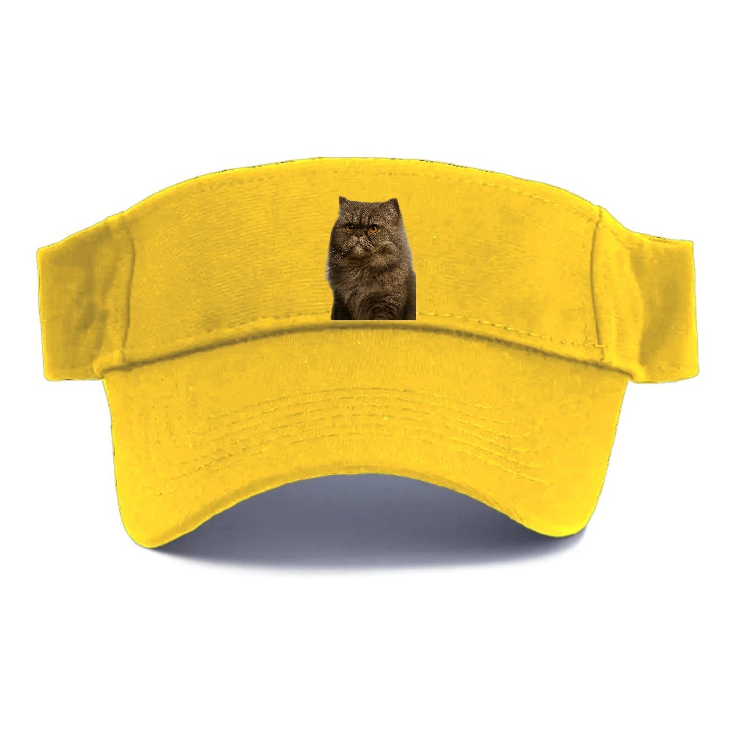 persian-cat-regal-elegance Hat