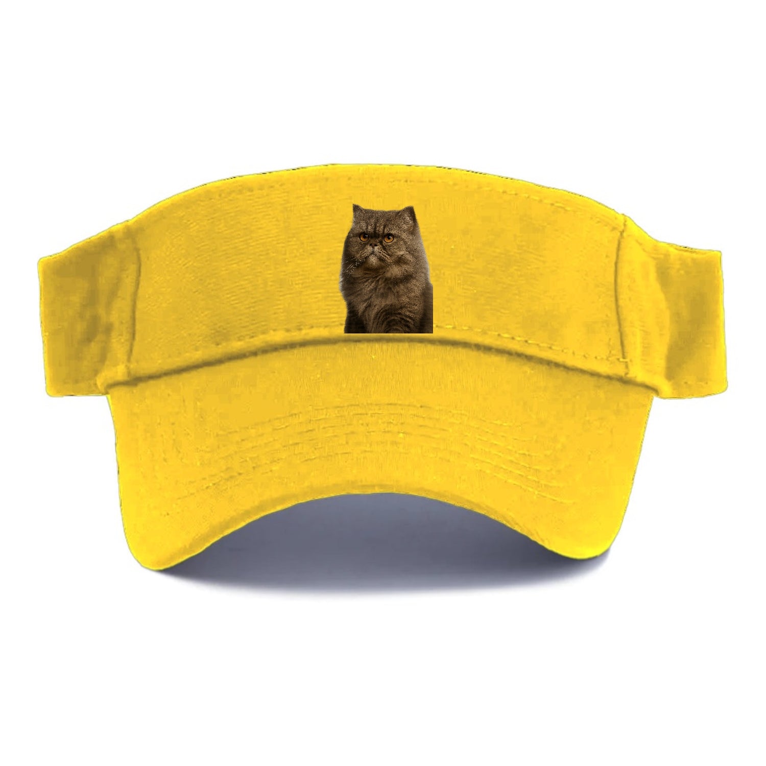 persian-cat-regal-elegance Hat