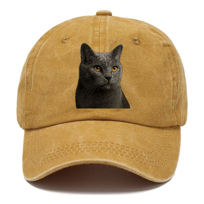 chartreux-quiet-grace Hat