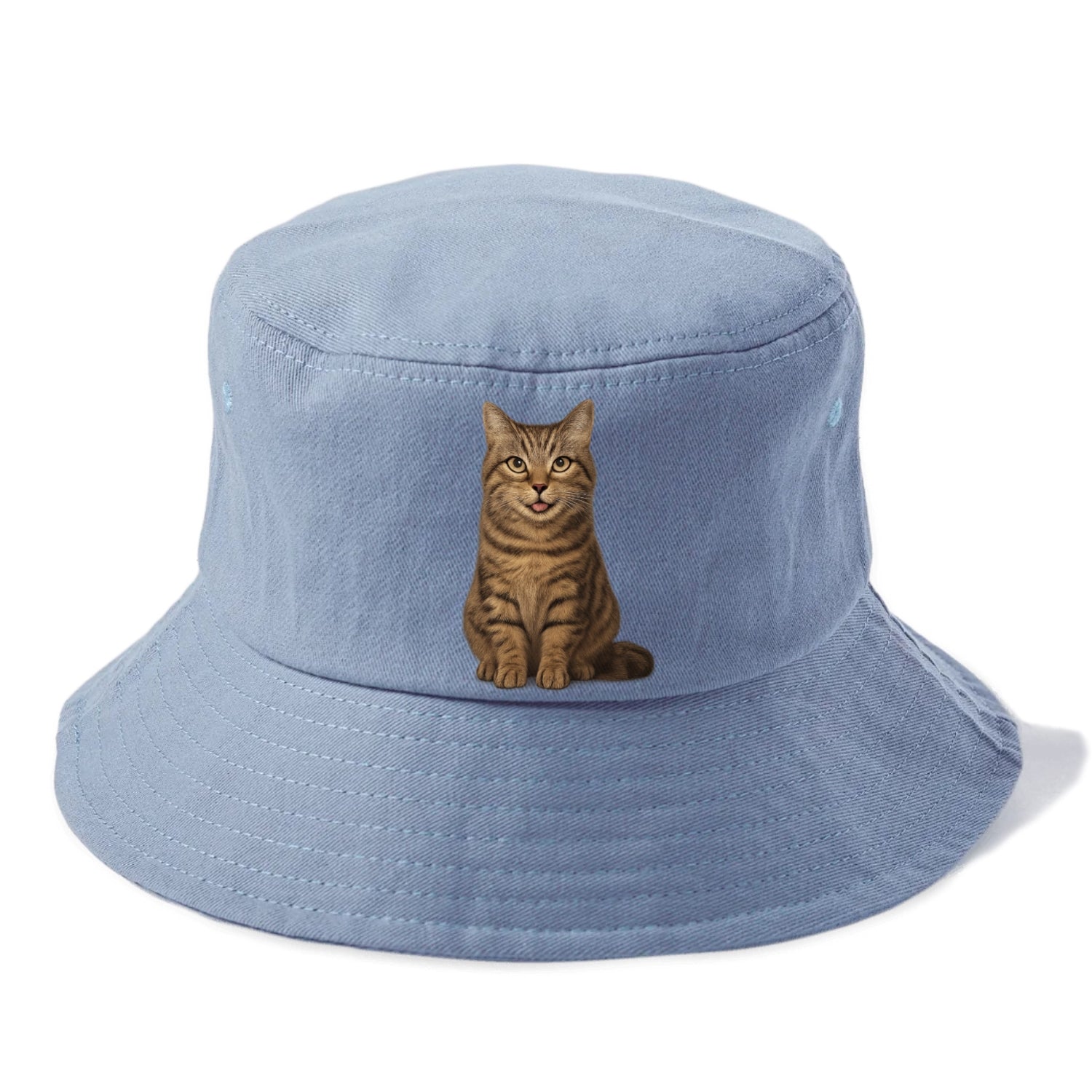 purrfectly peculiar Hat