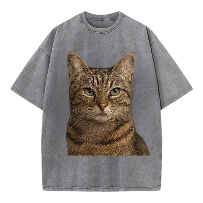 content-cat-curious-charm Hat