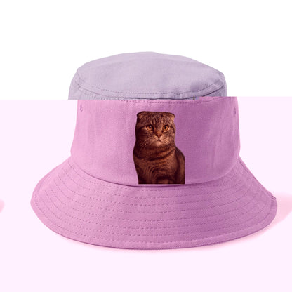 scottish-fold-curious-charm Hat