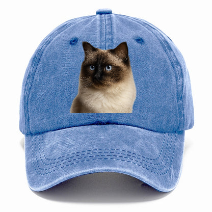 ragdoll-gentle-demeanor Hat