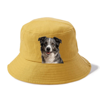 blue merle border collie agile mind Hat