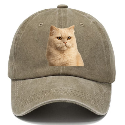 cream-persian-fluffy-elegance Hat