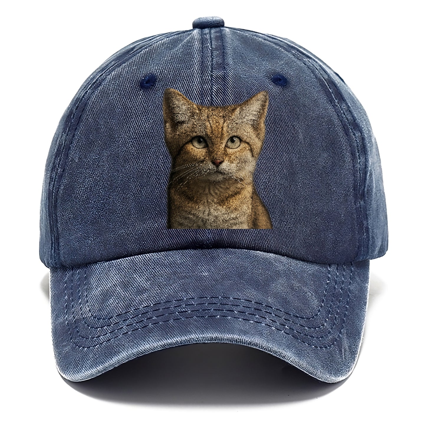 sand-cat-desert-spirit Hat