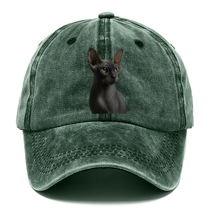 donskoy-sleek-elegance Hat