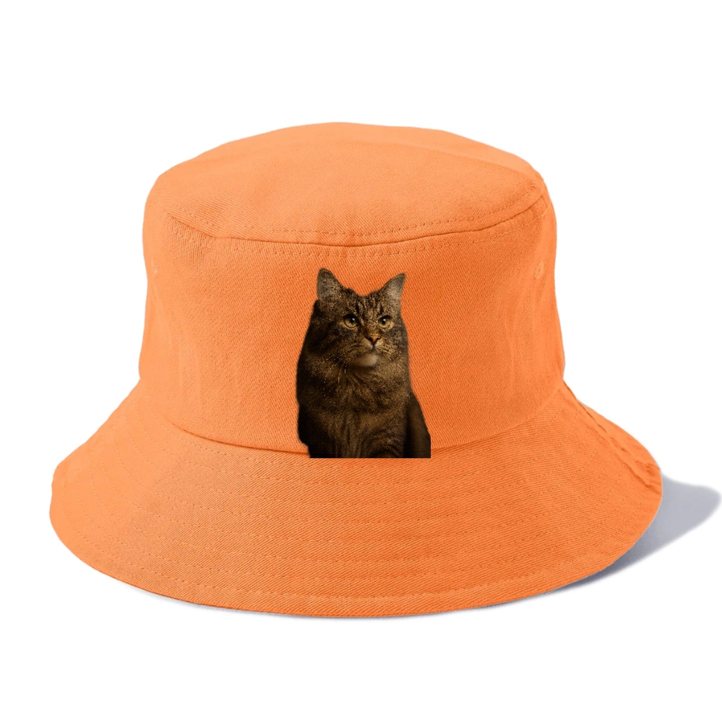 regal-cymric-charm Hat