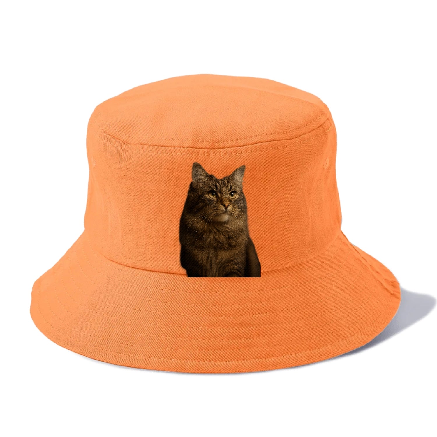 regal-cymric-charm Hat