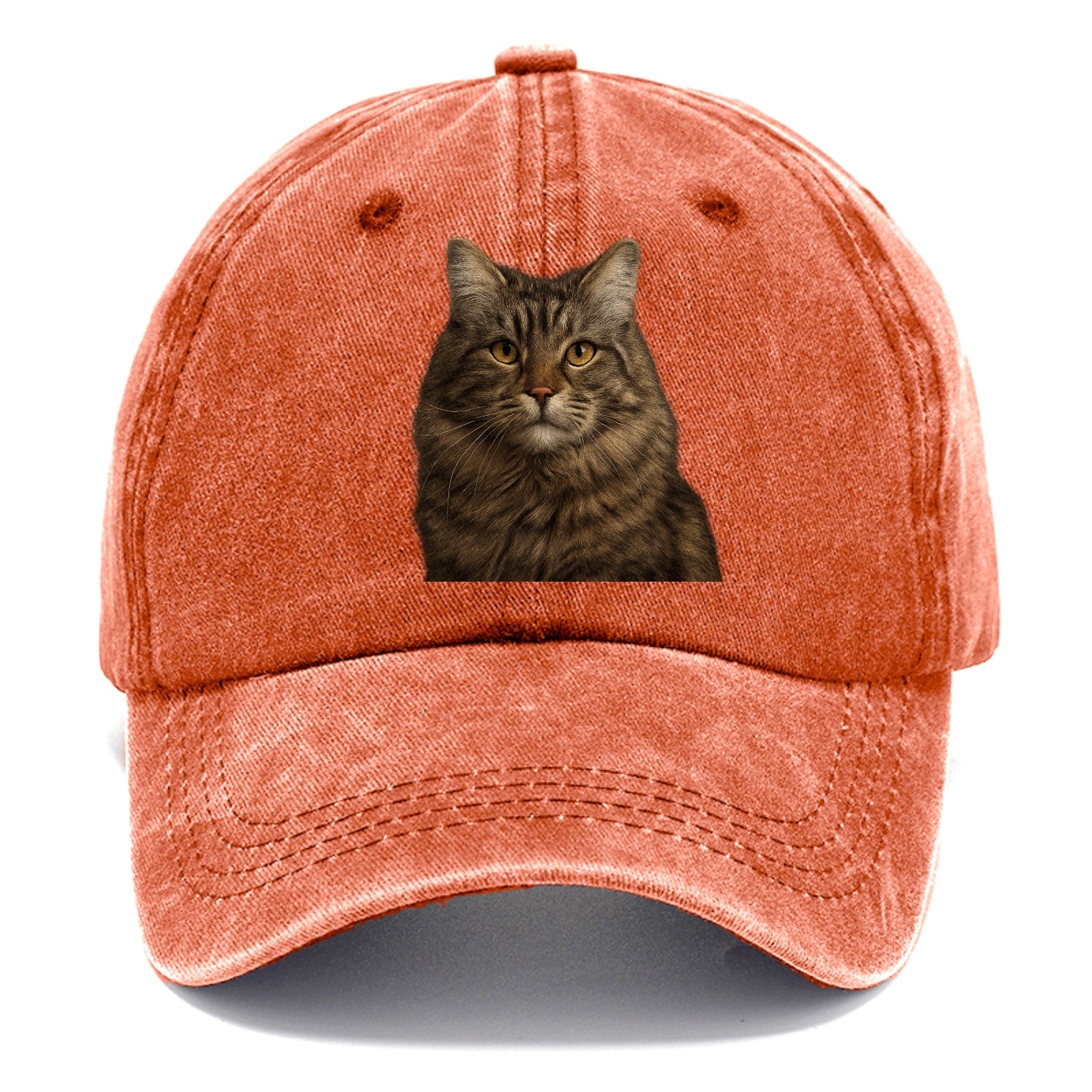 maine coon majestic feline Hat