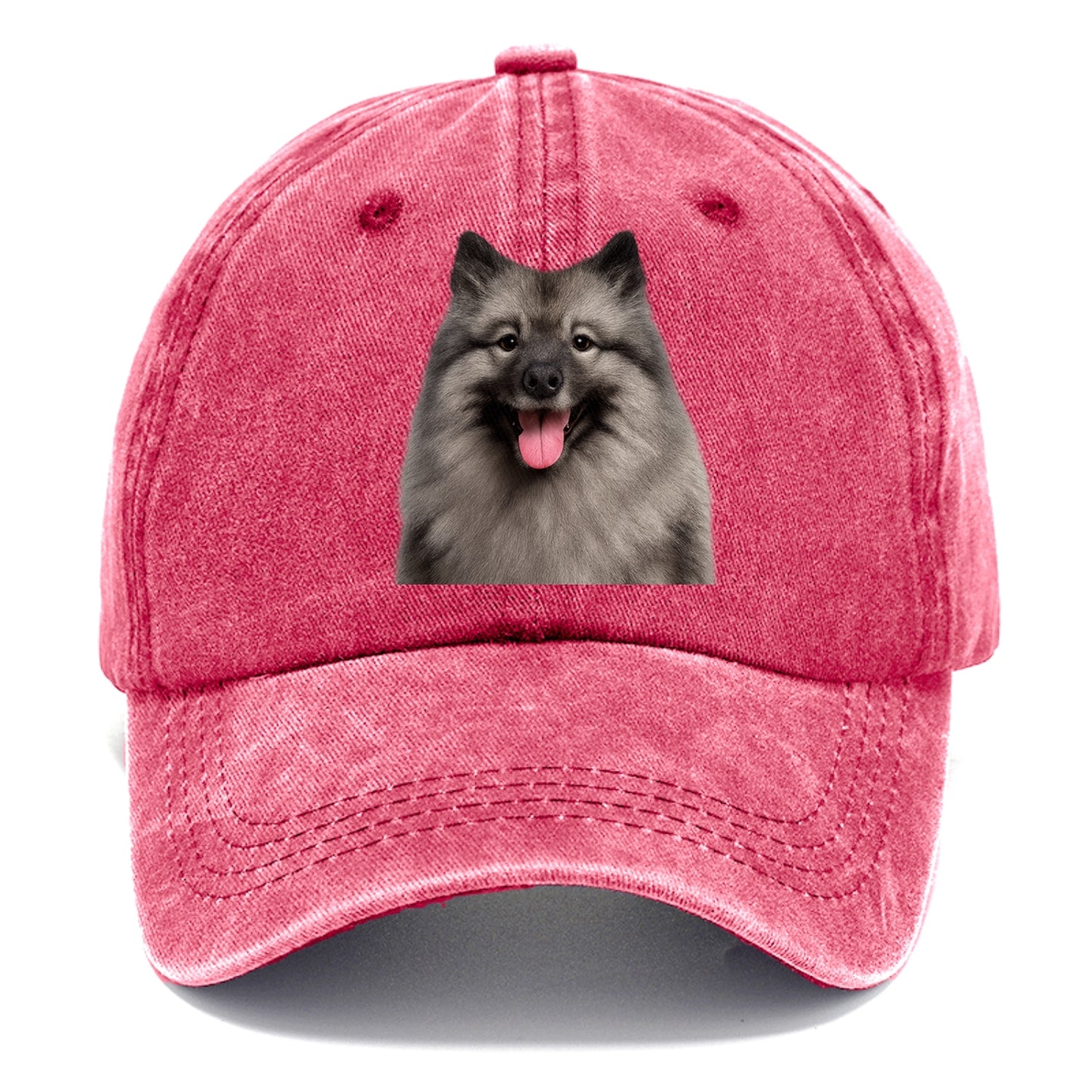 keeshond: silver fox spirit Hat