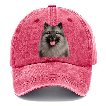 keeshond: silver fox spirit Hat