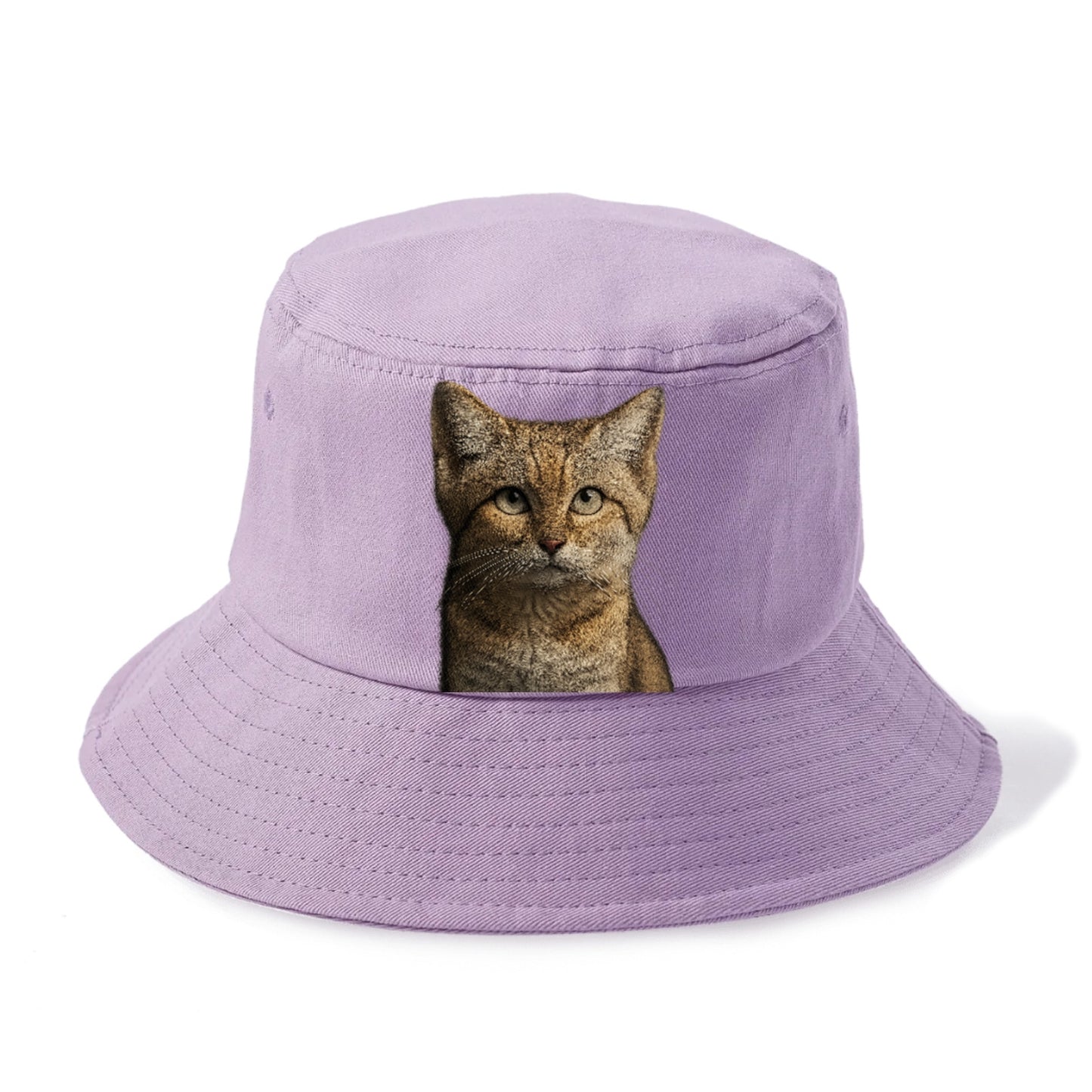sand-cat-desert-spirit Hat