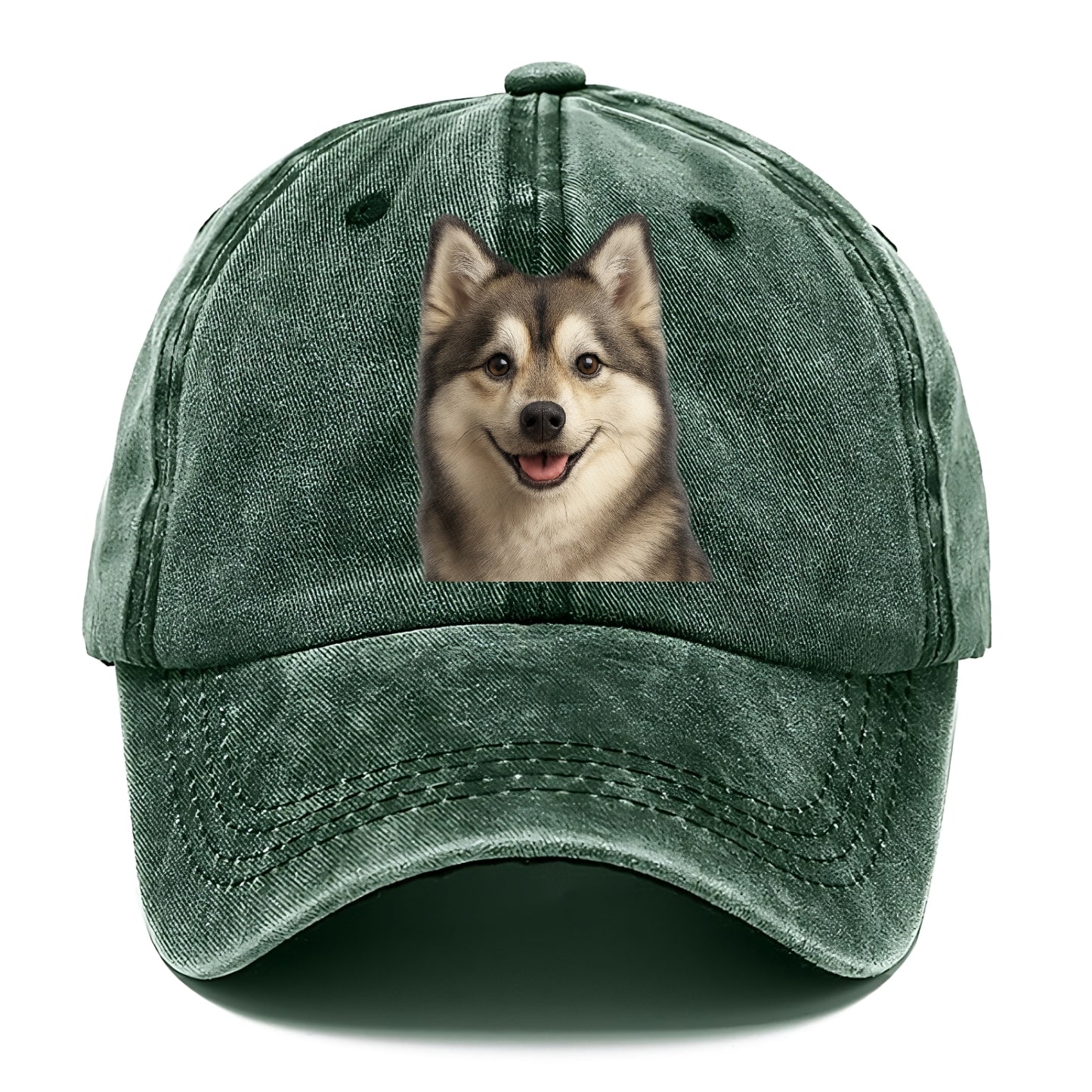 pomsky portrait design Hat