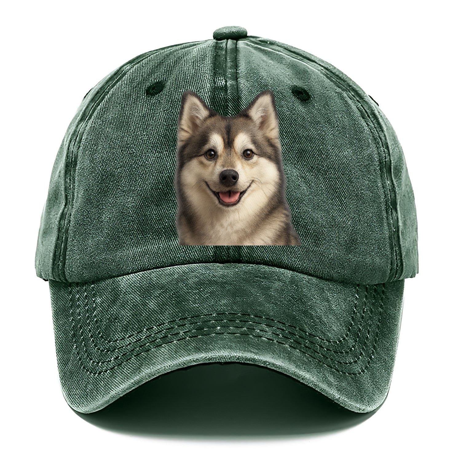 pomsky portrait design Hat