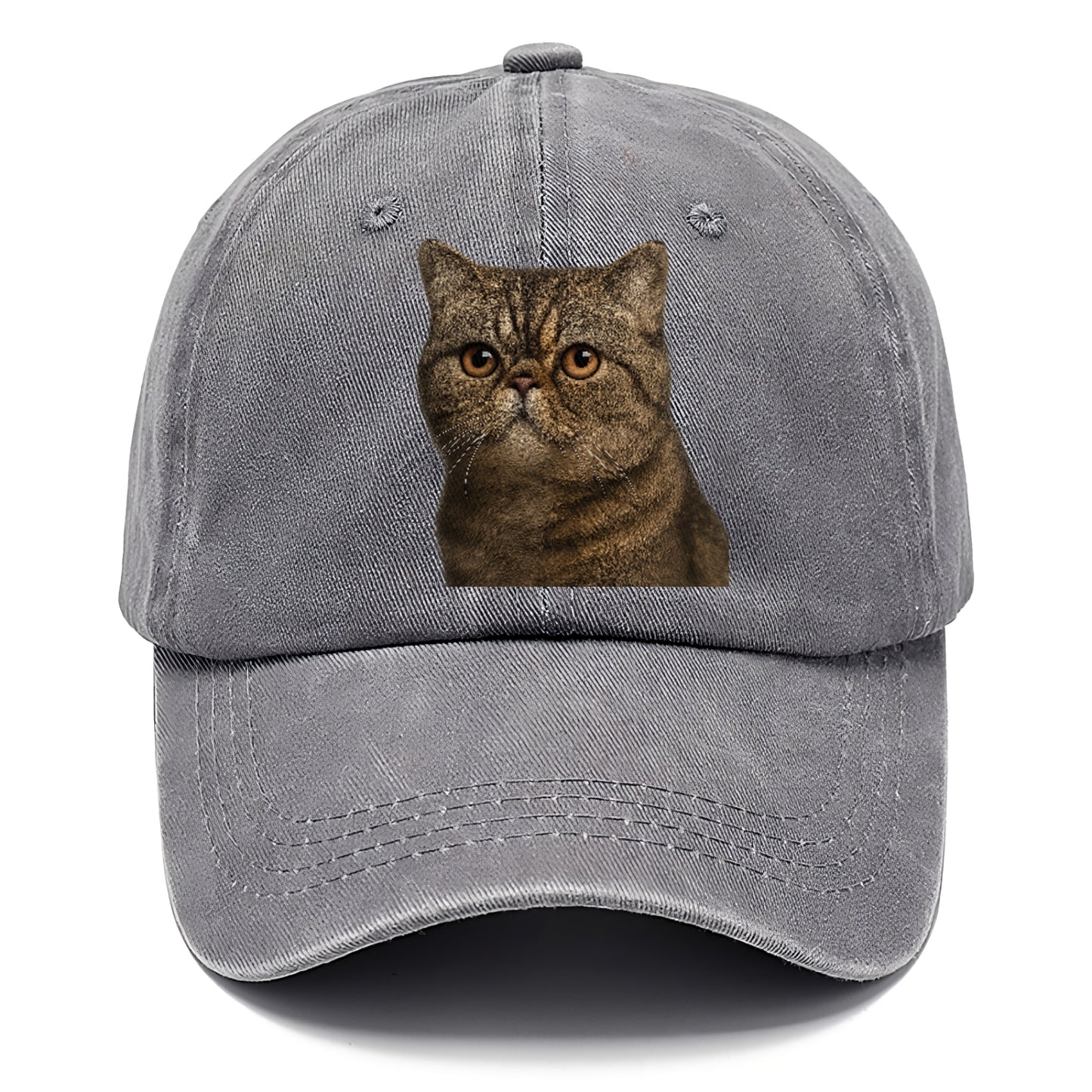 exotic-shorthair-calm-demeanor Hat