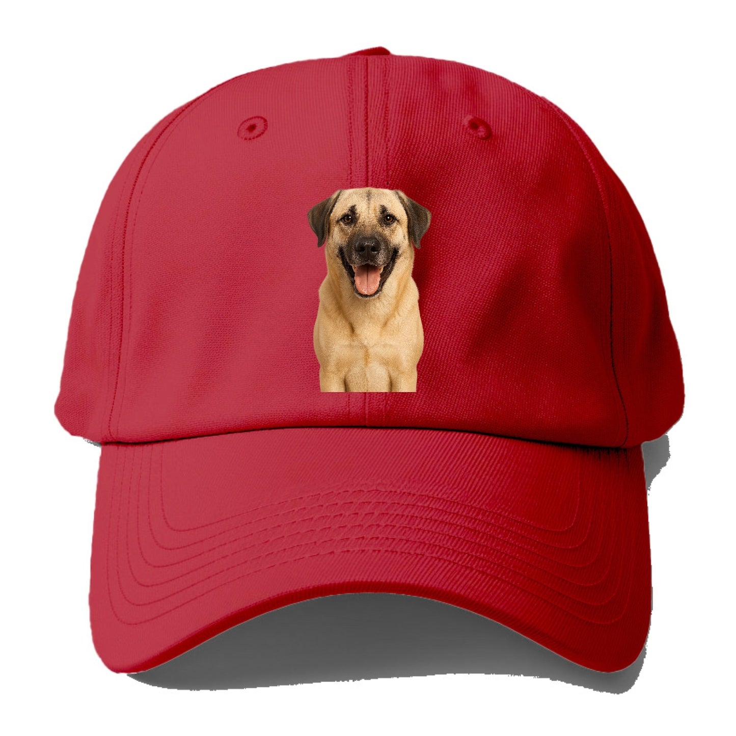 anatolian shepherd portrait design Hat