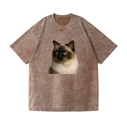 ragdoll-gentle-demeanor Hat