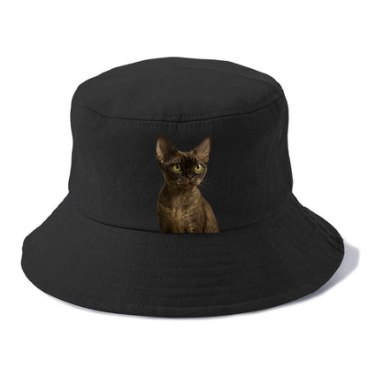 devon-rex-the-unique-charm Hat