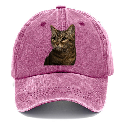 munchkin-cat-charming-spirit Hat