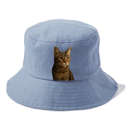 playful-cat-playful-spirit Hat