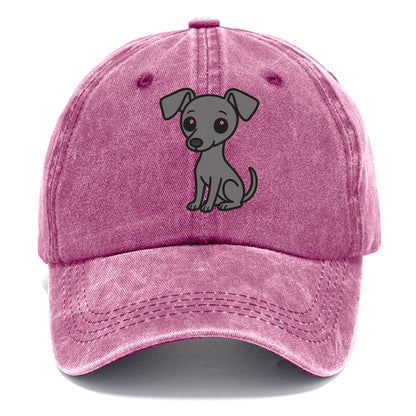 italian greyhound gray sitting pose with thin build portrait design Hat