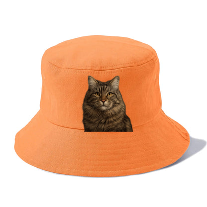 maine coon majestic feline Hat