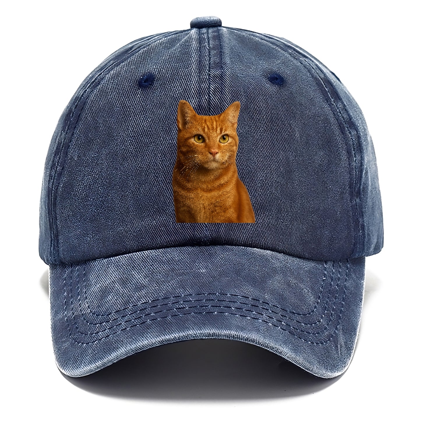 orange-tabby-cozy-companion Hat