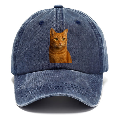 orange-tabby-cozy-companion Hat