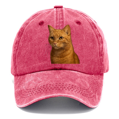 ginger-cat-playful-spirit Hat