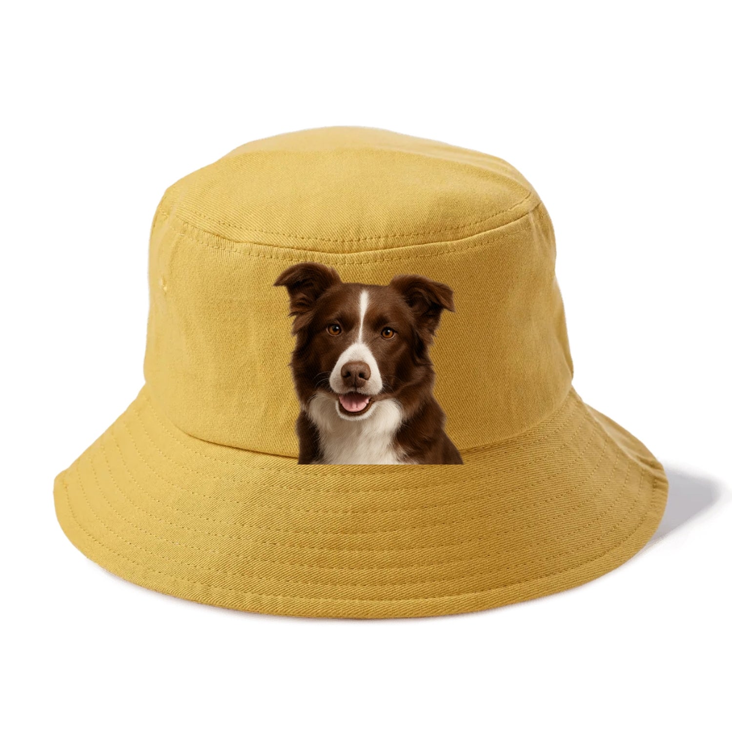 chocolate border collie: sweet & smart devotion Hat