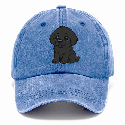 newfoundland black sitting pose with gentle giant expression portrait design Hat