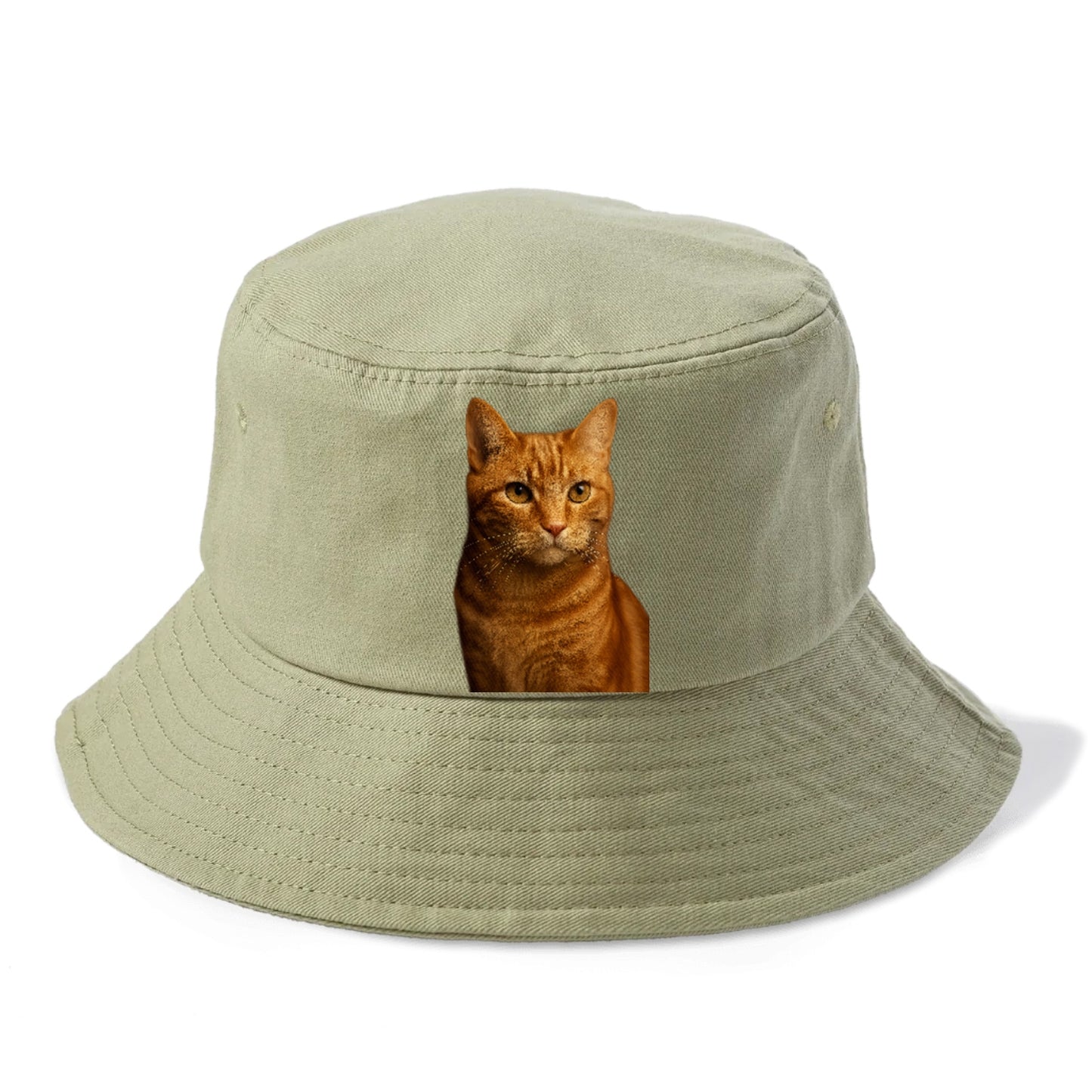 orange-tabby-playful-purr Hat
