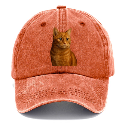 ginger-cat-warmth Hat