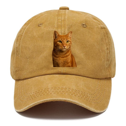 orange-tabby-cozy-companion Hat