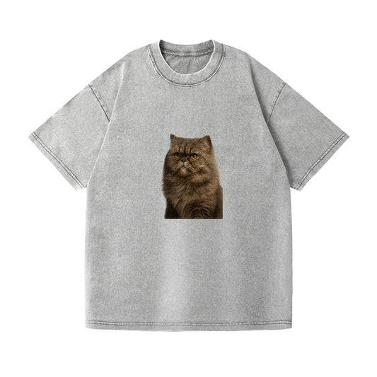 persian-cat-regal-elegance Hat