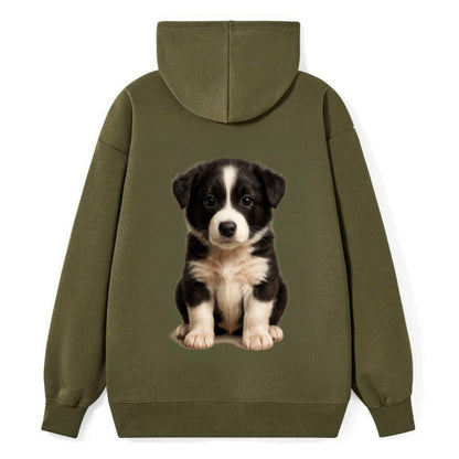 Baby Border Collie Puppy - black and white, intense smart eyes, athletic - Classic Pullover Hoodie - ArmyGreen