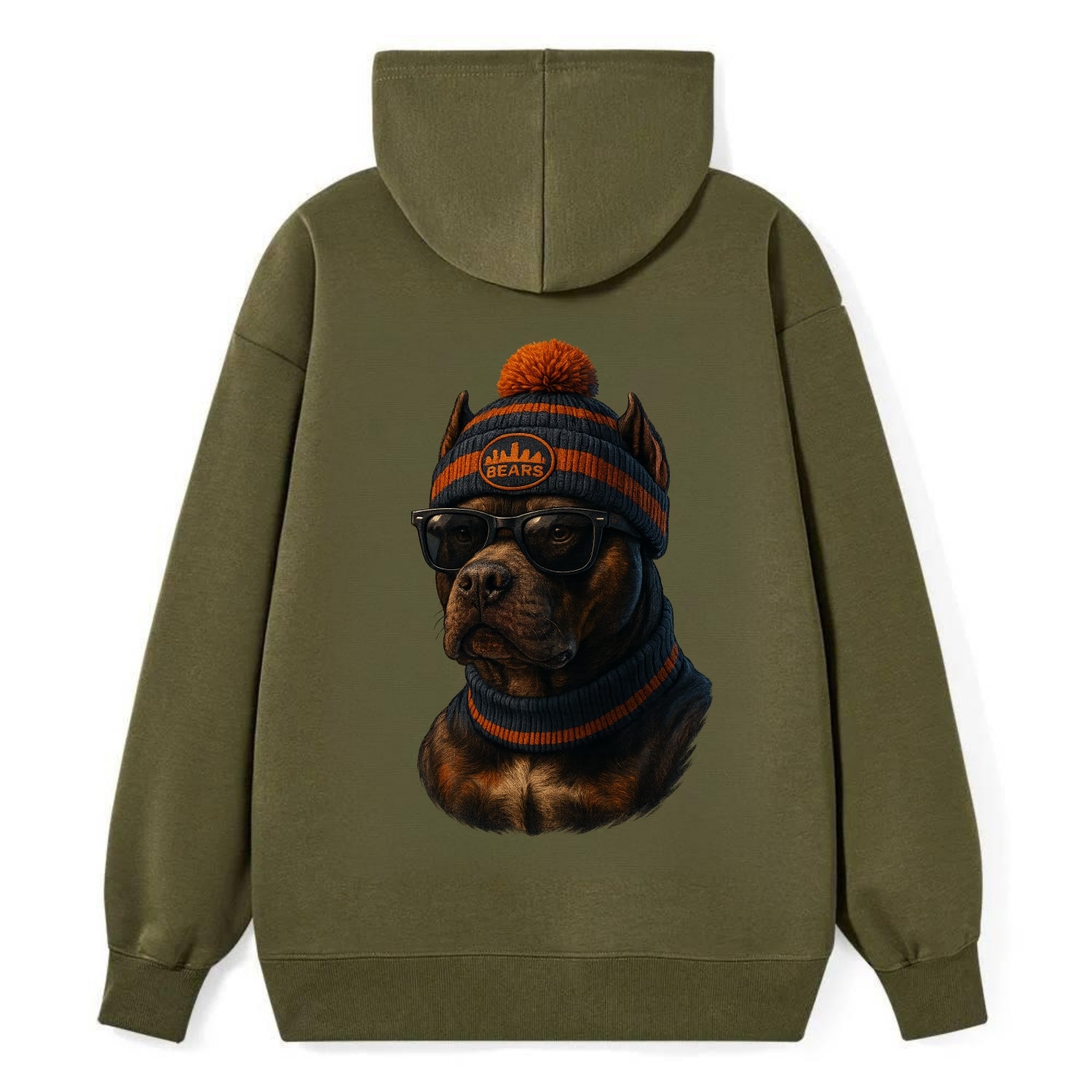 Chicago Pitbull wearing Bears beanie with skyline patch and wayfarer - Classic Pullover Hoodie - ArmyGreen