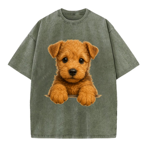 Lakeland Terrier  - Vintage T-shirt