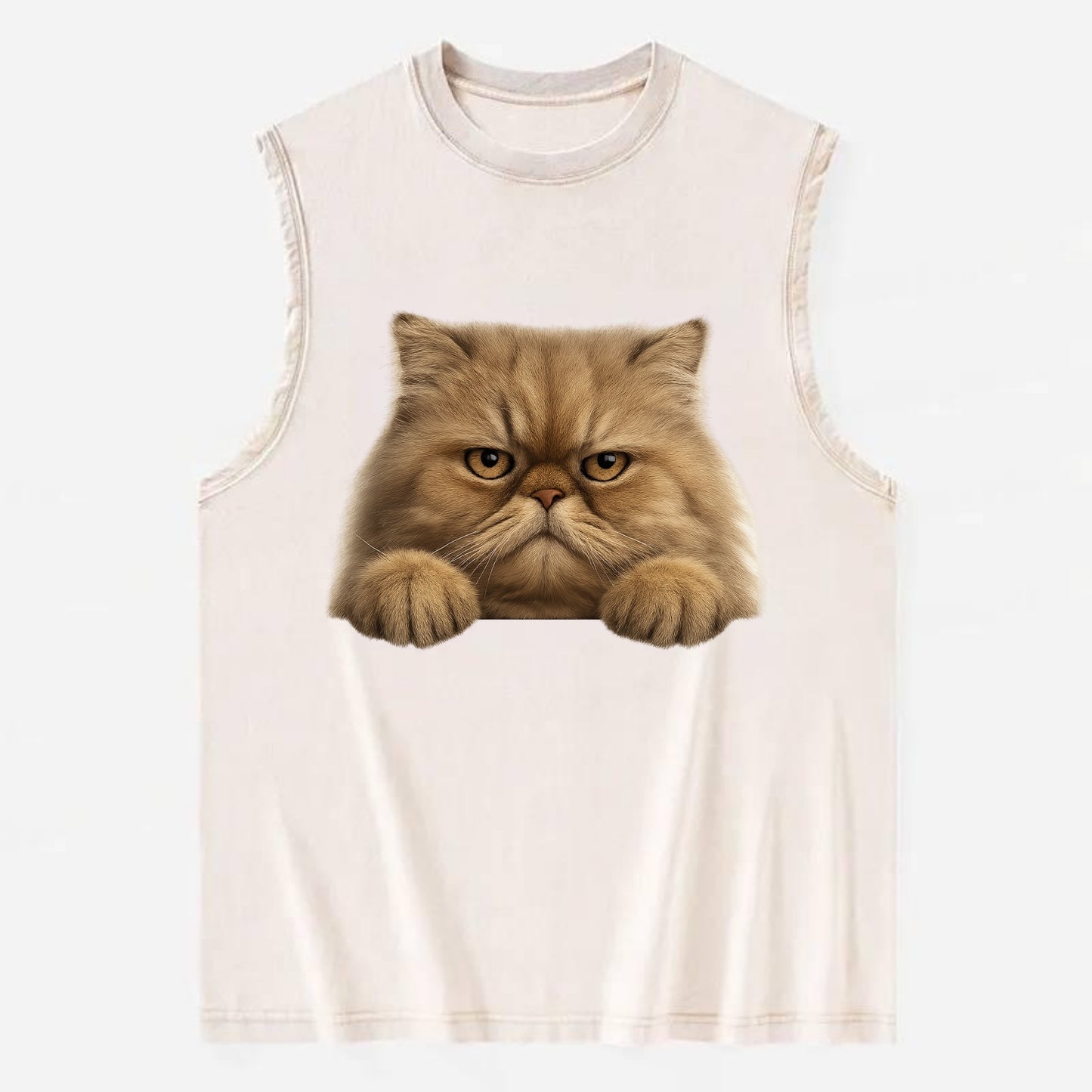 Persian Cat  - Vintage Washed Tank - Beige