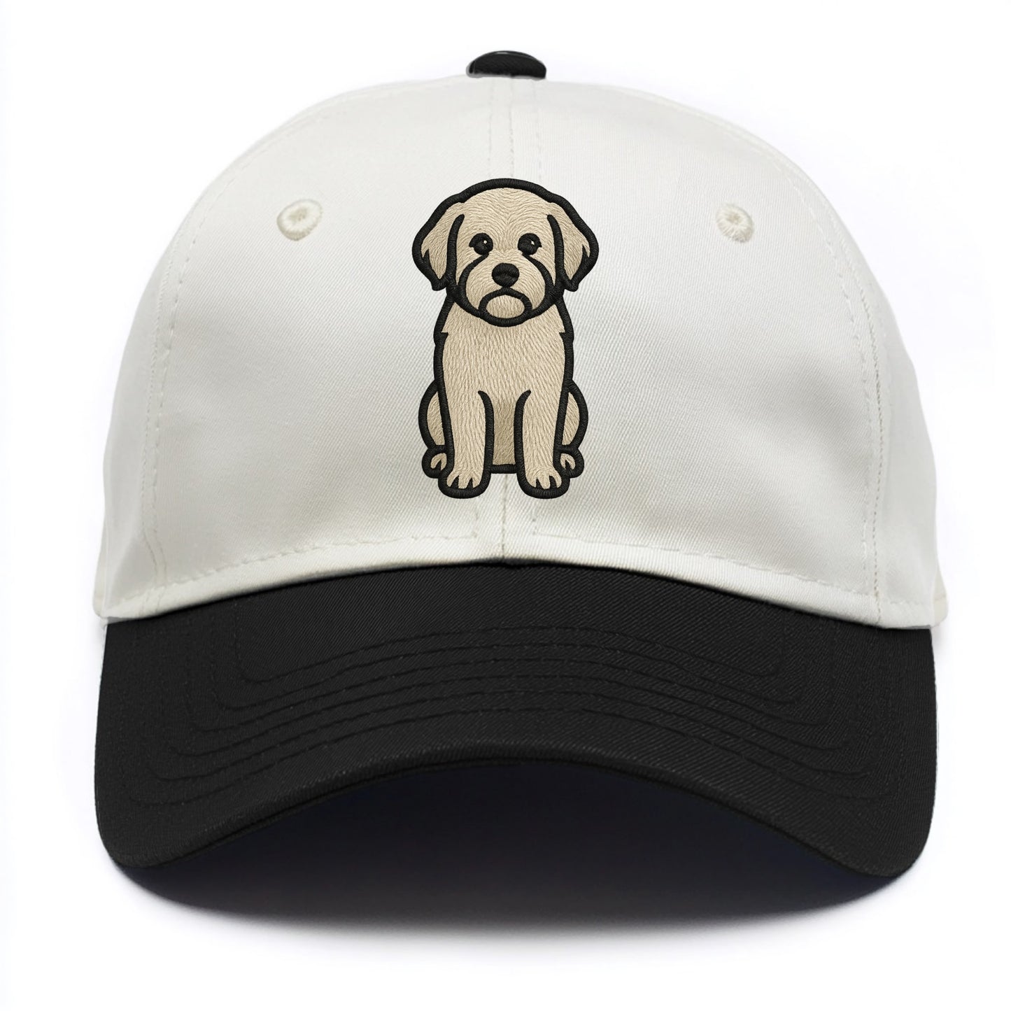 Havanese - Cream colored sitting pose - Two Tone Cap - Black