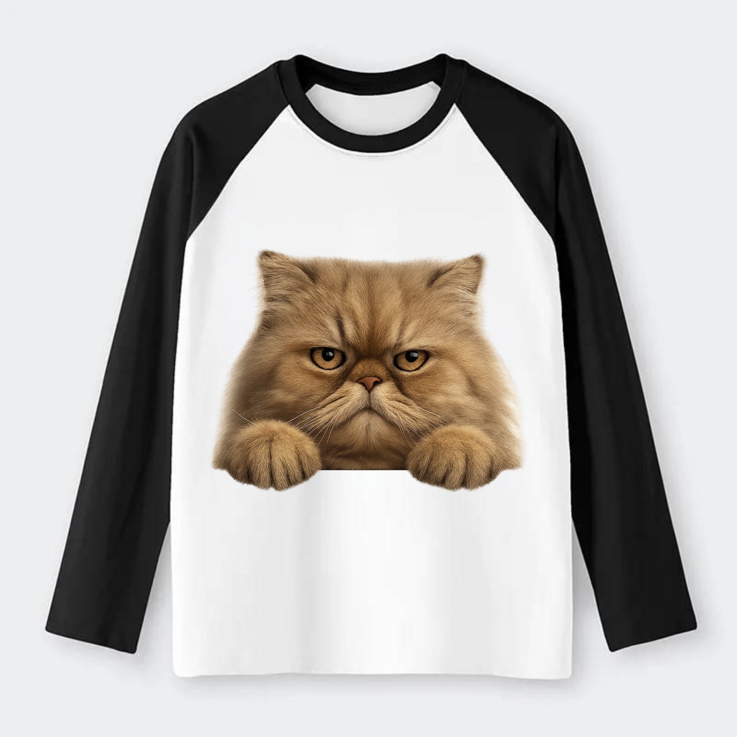 Persian Cat  - Raglan Long Sleeve T-Shirt - Black