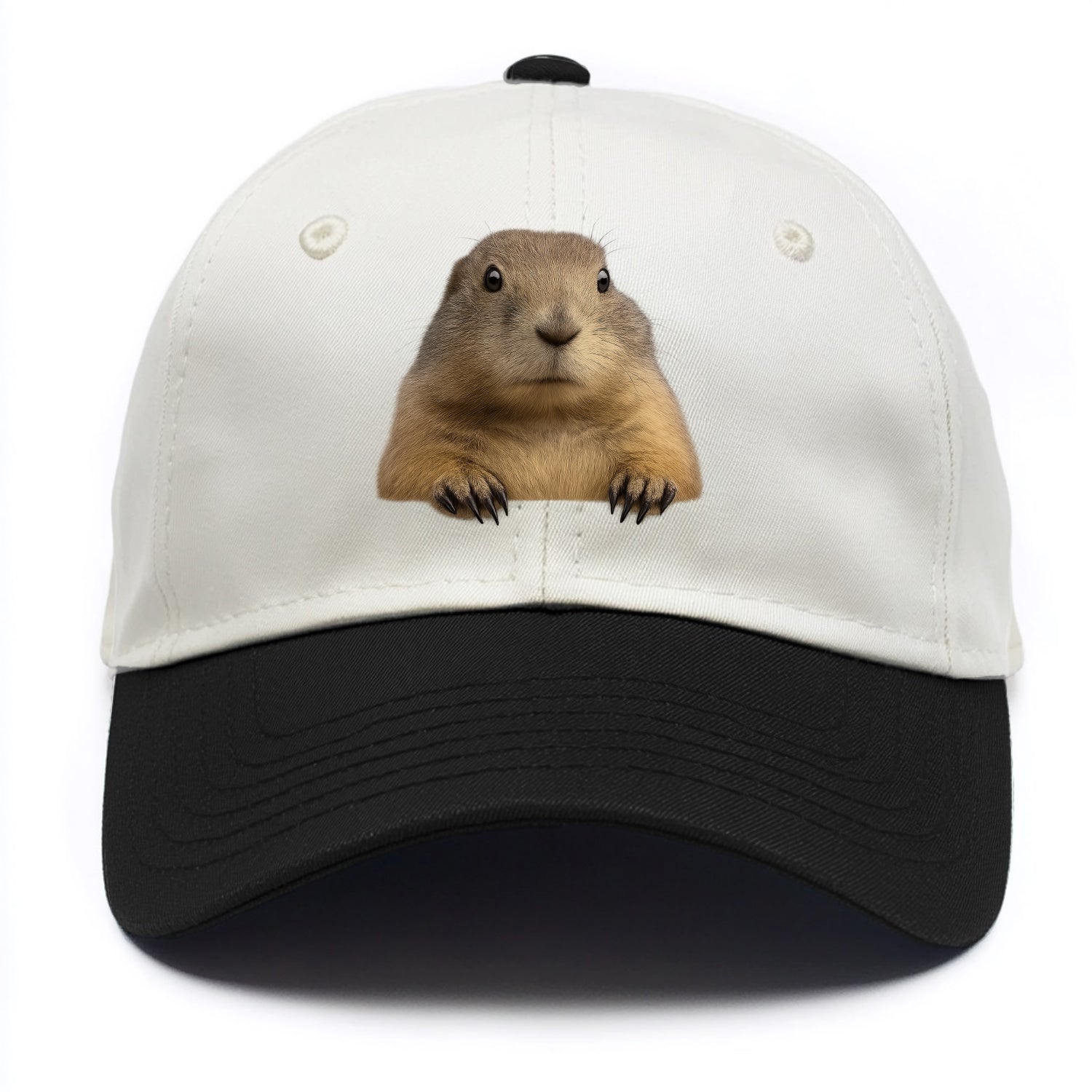 Prairie Dog  - Two Tone Cap - Black