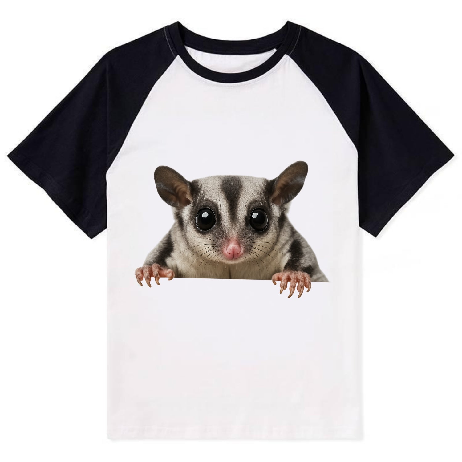 Sugar Glider  - Contrast Raglan T-shirt - Black