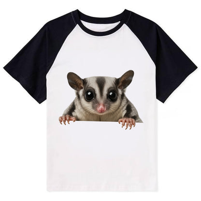 Sugar Glider  - Contrast Raglan T-shirt - Black