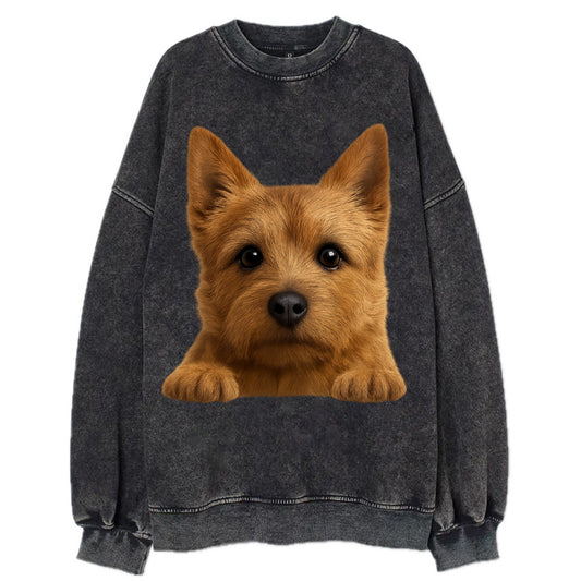 Norwich Terrier  - Vintage Sweatshirt - Black